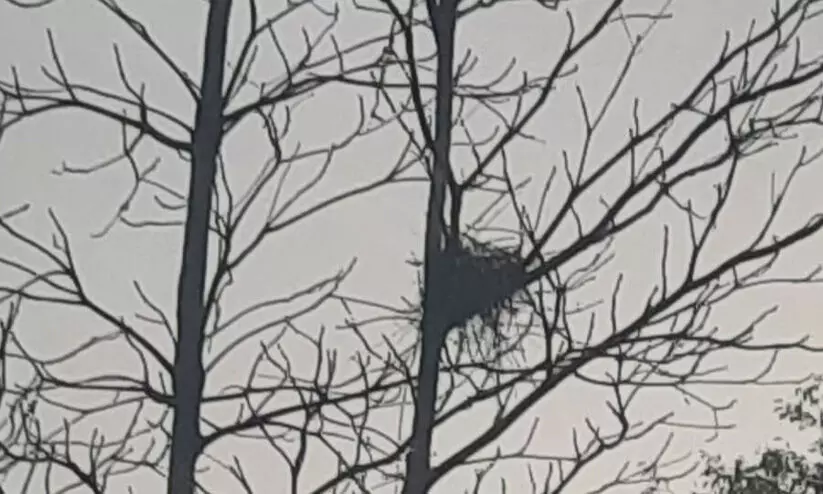 അവിശ്വാസം അവിശ്വാസം