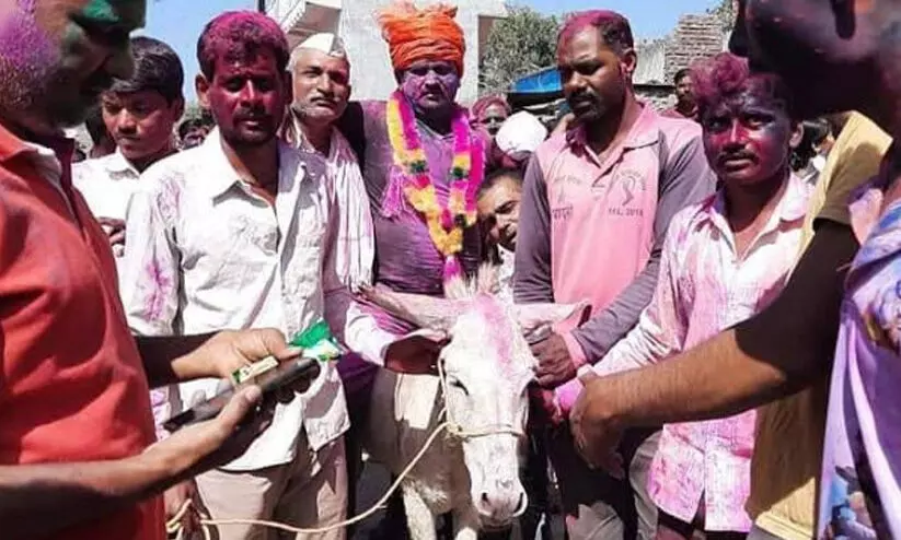 donkey ride for newly wed