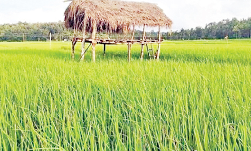 വിനോദസഞ്ചാര മേഖലയുടെ മുഖച്ഛായ മാറ്റാന്‍ സ്ട്രീറ്റ്