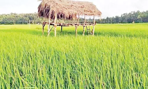 വിനോദസഞ്ചാര മേഖലയുടെ മുഖച്ഛായ മാറ്റാന്‍ സ്ട്രീറ്റ്