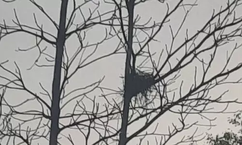 അവിശ്വാസം