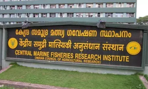 Central Marine Fisheries Research Institute