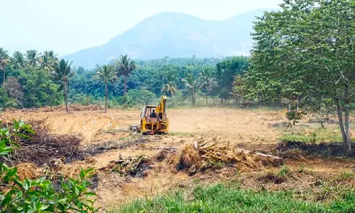 ഗ്രീൻപാർക്ക് സ്റ്റേഡിയം നിർമാണം പൂർത്തിയായി; അടുത്ത ലക്ഷ്യം ജൈവവൈവിധ്യ പാർക്ക്