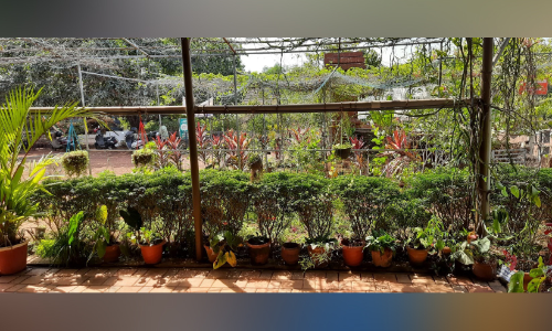 ശ​ല​ഭ​ങ്ങ​ളെ വ​ര​വേ​ല്‍ക്കാ​നൊ​രു​ങ്ങി സ്‌​കൂ​ളു​ക​ള്‍