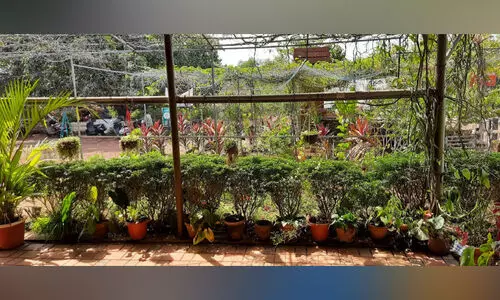 ശ​ല​ഭ​ങ്ങ​ളെ വ​ര​വേ​ല്‍ക്കാ​നൊ​രു​ങ്ങി സ്‌​കൂ​ളു​ക​ള്‍