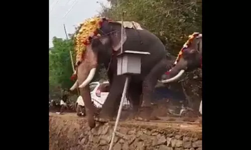 ആറാട്ട് കഴിഞ്ഞ് തിടമ്പേറ്റാൻ നിന്ന ആനകൾ തമ്മിൽ അടി; രക്ഷകനായി മറ്റൊരു ആന - വി​ഡിയോ