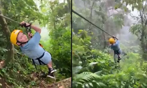 സിപ് ലൈനിൽ ചീറിപ്പാഞ്ഞ ബാലന് സ്റ്റോപ്പിട്ട് കാട്ടിലെ ബിഗ്ബി; വിഡിയോ വൈറൽ