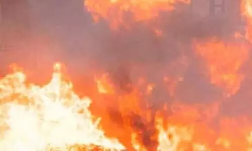 കർദിനാൾ ആലഞ്ചേരിയുടെയും സാന്ദ്രിയുടെയും കോലം കത്തിച്ച് വിശ്വാസികൾ