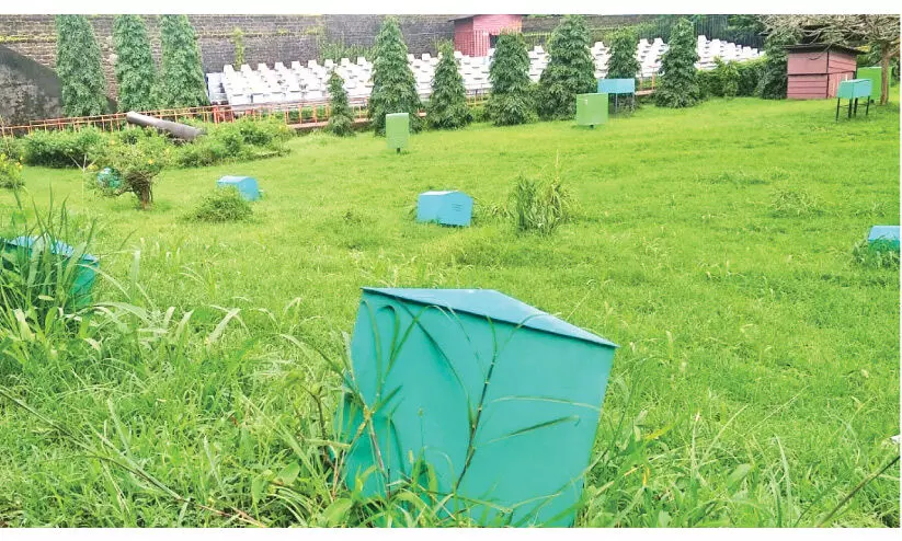 കണ്ണൂർ കോട്ട; തെളിയാതെ ലൈറ്റ് ആൻഡ് സൗണ്ട് ഷോ കണ്ണൂർ കോട്ട; തെളിയാതെ ലൈറ്റ് ആൻഡ് സൗണ്ട് ഷോ