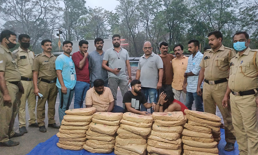 വാളയാറിൽ വൻ കഞ്ചാവ് വേട്ട; 165 കിലോഗ്രാം കഞ്ചാവ് പിടികൂടി വാളയാറിൽ വൻ കഞ്ചാവ് വേട്ട; 165 കിലോഗ്രാം കഞ്ചാവ് പിടികൂടി