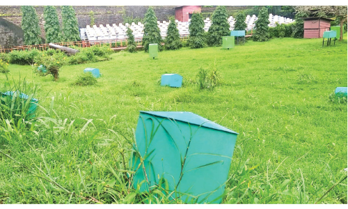 കണ്ണൂർ കോട്ട; തെളിയാതെ ലൈറ്റ് ആൻഡ് സൗണ്ട് ഷോ