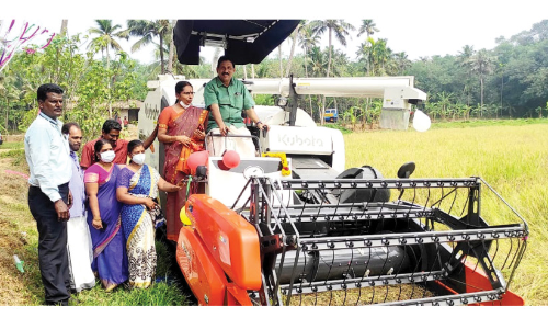 നെൽകൃഷി വികസനത്തിനും കാർഷിക വിപണനത്തിനും പ്രാമുഖ്യം