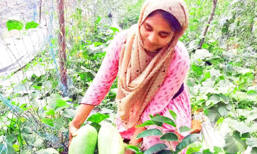 കൃഷിത്തോട്ടത്തിൽ ഇസ്മത്ത് തിരക്കിലാണ്