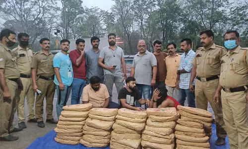 വാളയാറിൽ വൻ കഞ്ചാവ് വേട്ട; 165 കി​ലോ​ഗ്രാം ക​ഞ്ചാ​വ് പിടികൂടി