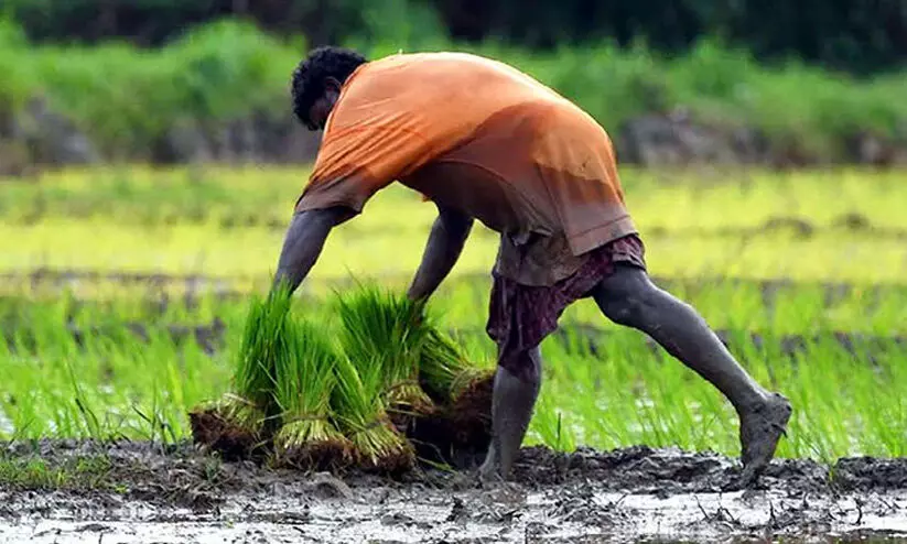 കർഷക അവാർഡ്: പെരുമ കാത്ത് ആലപ്പുഴ ജില്ല