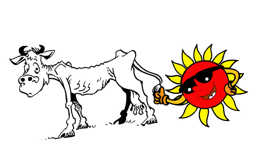 ചൂട് കനക്കുന്നു; ക്ഷീരമേഖല പ്രതിസന്ധിയിൽ ചൂട് കനക്കുന്നു; ക്ഷീരമേഖല പ്രതിസന്ധിയിൽ