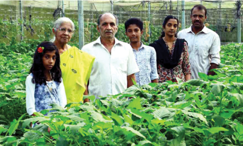 പോളിഹൗസിൽ ചീരകൃഷി; ഹൈടെക് കർഷകനായയി ജോഷി ജോസഫ്