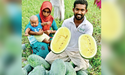 കരിഞ്ചാപ്പാടിയിലെ താരം കാച്ചിനിക്കാട്ടും വിളഞ്ഞു