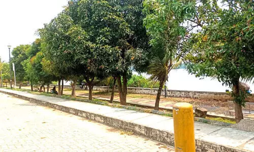 പ്രഭാത നടത്തം ജീവൻ പണയംവെച്ച്; സുരക്ഷിത സൗകര്യം ഒരുക്കണം