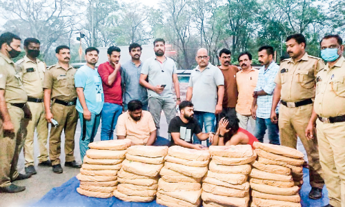 വാളയാറിൽ കഞ്ചാവ് വേട്ട; 170 കിലോയുമായി മൂന്ന് പേർ പിടിയിൽ