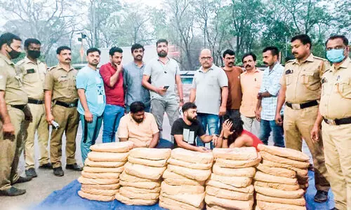 വാളയാറിൽ കഞ്ചാവ് വേട്ട; 170 കിലോയുമായി മൂന്ന് പേർ പിടിയിൽ