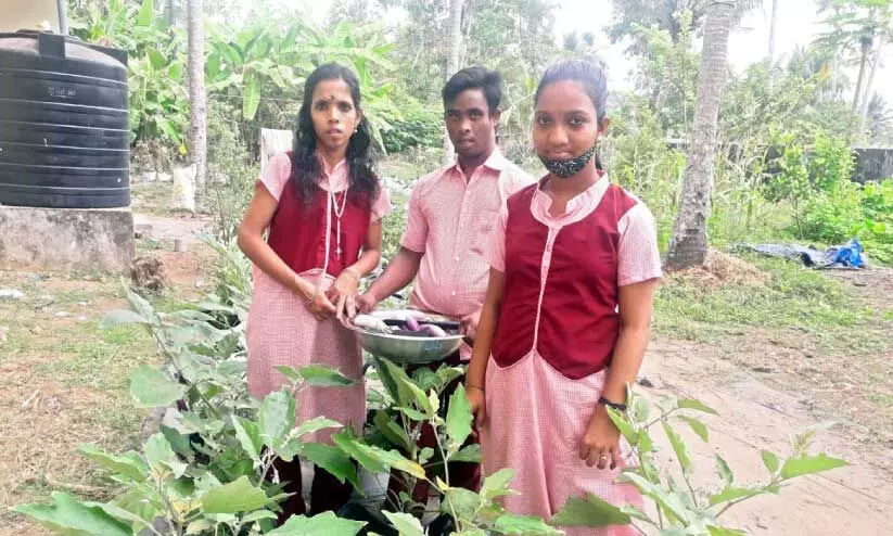 പുരസ്കാരത്തിളക്കത്തിൽ ദീപ്തി സ്‌കൂൾ