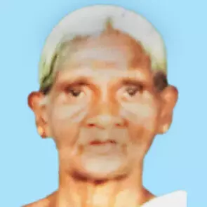 ക​ൽ തൂ​ൺ ദേ​ഹ​ത്ത്​ വീ​ണ് വ​യോ​ധി​ക മ​രി​ച്ചു