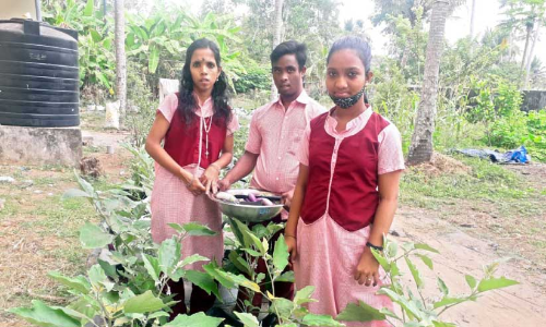 പുരസ്കാരത്തിളക്കത്തിൽ ദീപ്തി സ്‌കൂൾ