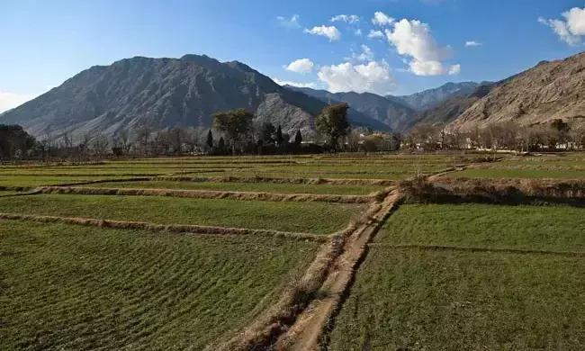 താലിബാന് നൽകിയ പിന്തുണക്ക് പിന്നാലെ ചൈനീസ് ഖനന കമ്പനികൾ കൂട്ടത്തോടെ അഫ്ഗാനിലേക്ക്