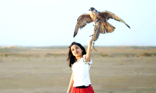 ശ്രദ്ധേയമായി പ്രകൃതിയുടെ മിത്രങ്ങൾ ഡോക്യുമെന്ററി