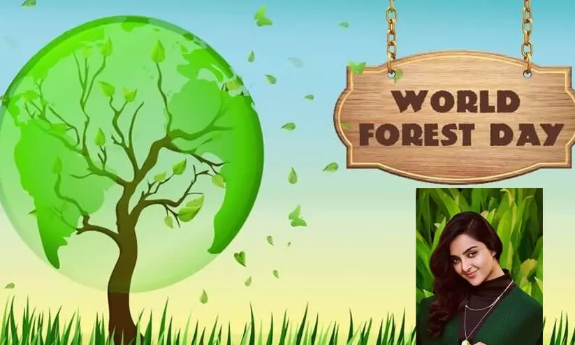 World Forest Day World Forest Day