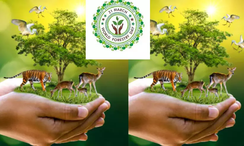World Forest Day