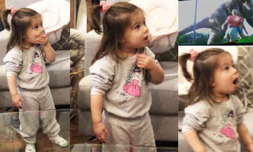 ദിനോസറിനെ ആദ്യമായി കണ്ട രണ്ട് വയസുകാരിയുടെ പ്രതികരണം നോക്കൂ, വൈറലായി വിഡിയോ