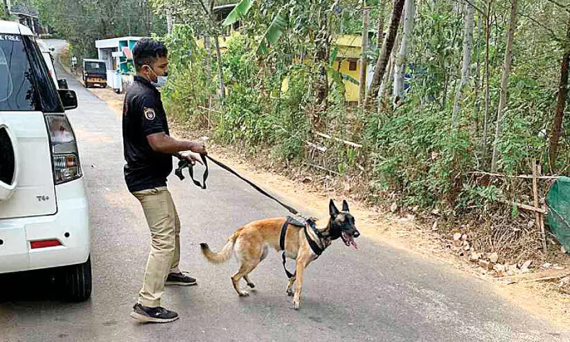 വീട്ടുപരിസരങ്ങളിൽ രക്തക്കറ: അന്വേഷണം ഊർജിതം വീട്ടുപരിസരങ്ങളിൽ രക്തക്കറ: അന്വേഷണം ഊർജിതം
