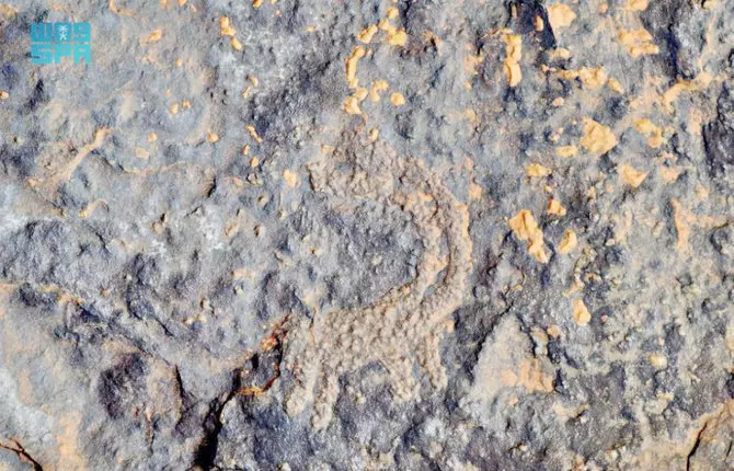 ച​രി​ത്ര​ കു​തു​കി​ക​ളെ മാ​ടി​വി​ളി​ച്ച് ഉ​നൈ​സ​യി​ലെ ശി​ലാ​ലി​ഖി​ത​ങ്ങ​ൾ