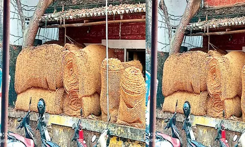coir products are destroyed
