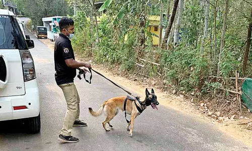 വീട്ടുപരിസരങ്ങളിൽ രക്തക്കറ: അന്വേഷണം ഊർജിതം