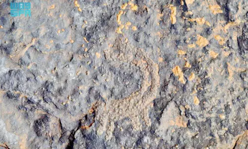 ച​രി​ത്ര​ കു​തു​കി​ക​ളെ മാ​ടി​വി​ളി​ച്ച് ഉ​നൈ​സ​യി​ലെ ശി​ലാ​ലി​ഖി​ത​ങ്ങ​ൾ