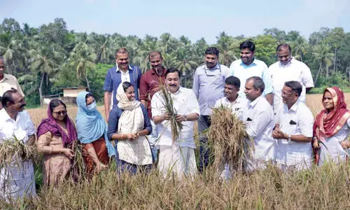 Minister to harvest Excited Harvest festival
