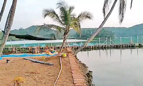 പ്രവാസി കൂട്ടായ്‌മയിൽ ചിറ്റാറിക്കടവിൽ ഓരുജല മത്സ്യകൃഷി ഫാം