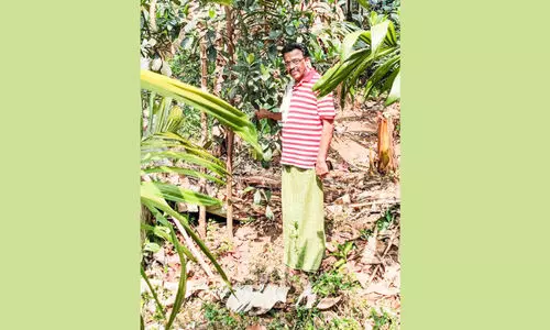 അധ്യാപനത്തിൽനിന്ന് വിരമിച്ച് കൃഷിയിൽ ഹരിശ്രീ കുറിച്ച് ജോൺസ്