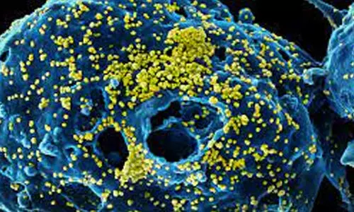 ഖത്തറിൽ ​മെർസ്​ സ്ഥിരീകരിച്ചു; ഒട്ടകങ്ങളുമായി സമ്പർക്കമുള്ള 50കാരനാണ്​ രോഗബാധ