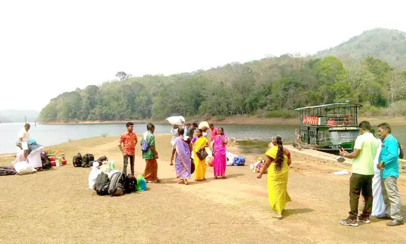 കാട്ടിനുള്ളിൽ ആദിവാസികളുടെ ഉത്സവകാലത്തിന് തുടക്കം കാട്ടിനുള്ളിൽ ആദിവാസികളുടെ ഉത്സവകാലത്തിന് തുടക്കം