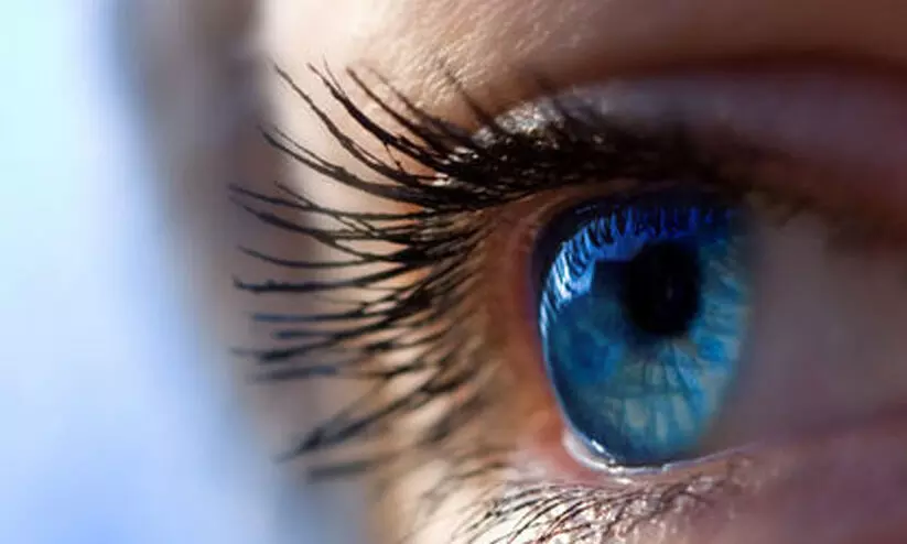 ഉറങ്ങാനിഷ്ടമില്ലാതിരുന്ന കുട്ടി ഉറങ്ങാനിഷ്ടമില്ലാതിരുന്ന കുട്ടി