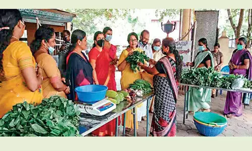 Kudumbashree Sangha Krishi Model