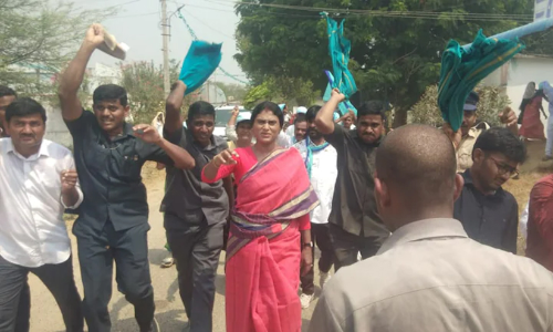 ആന്ധ്രപ്രദേശ് മുഖ്യമന്ത്രിയുടെ സഹോദരിയുടെ പദയാത്രക്ക് നേരെ തേനീച്ചക്കൂട്ടത്തിന്‍റെ ആക്രമണം