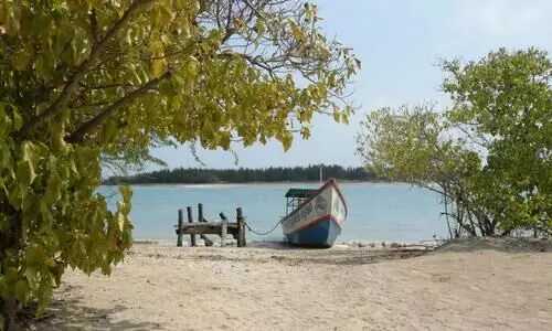 Kurusadai island