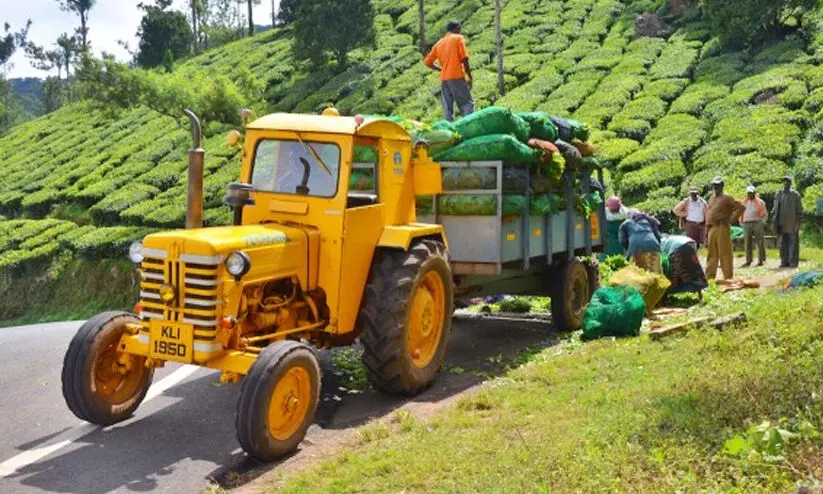 tea tractor