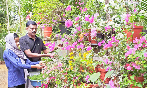 Ashraf Pannikandathil