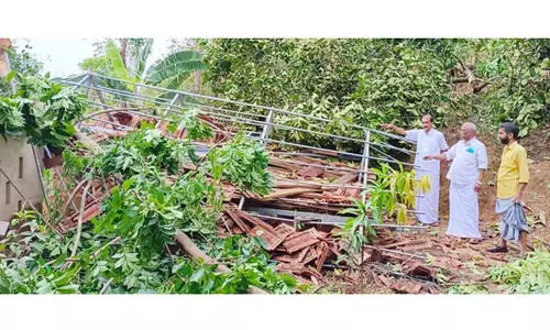 മലയോരത്ത് കാറ്റിൽ കനത്ത നഷ്ടം